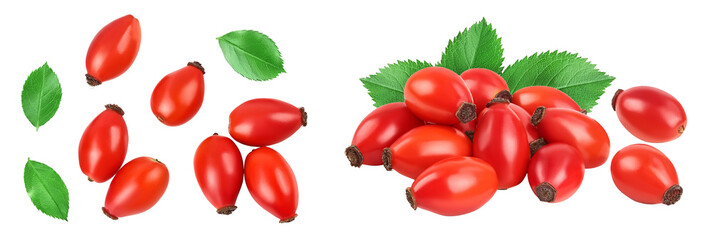 Rose hip isolated on a white background with full depth of field. Top view. Flat lay.