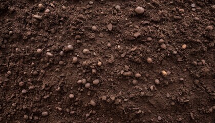 Fertile loam soil suitable for planting, soil texture background. Top view of fresh soil. Concept of global pollution, World Soil Day
