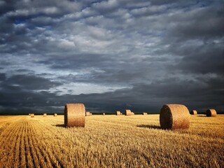 Scenic shot of round hay bales on a farm field under a cloudy gloomy sky - obrazy, fototapety, plakaty