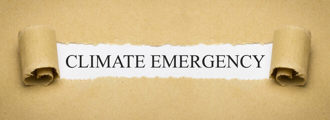 climate emergency - obrazy, fototapety, plakaty