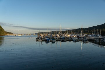 Fototapeta na wymiar Beautiful view of the harbor in the ocean of Salt Spring Island with ships during the blue hour
