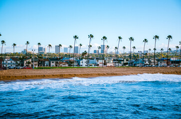 Sandy beach and the coastline with palm trees in Newport Beach in California on a sunny day © Wirestock