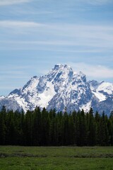 Vertical view of the beautiful snow capped peak of mount Moran and surrounding landscape in Wyoming