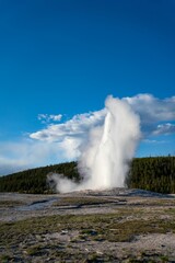 Vertical shot of a geyser filled with hot water near the forest