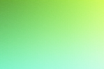 Soft Green and White Grainy Gradient Abstract Background Poster Banner
