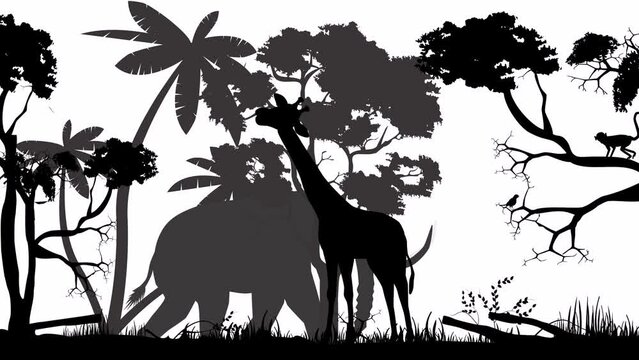 Monochrome animation of african animals silhouette
