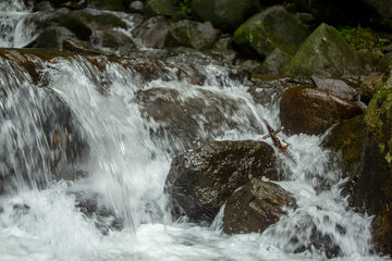 waterfall in the forest