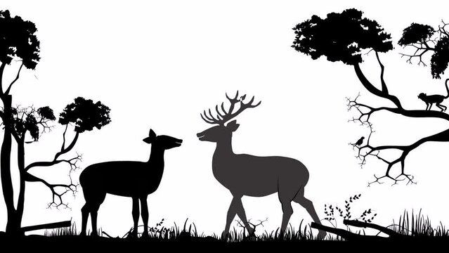 Black deer silhouette animation in monochrome background