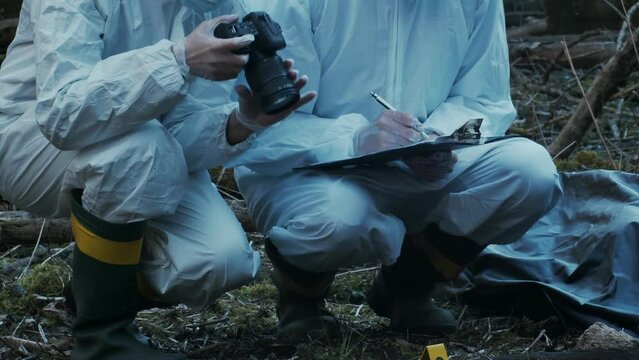 Forensic specialist working in the forest. Police criminalists collecting evidence and making criminal investigation. Crime scene concept.