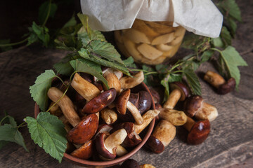 Pile of Imleria Badia or Boletus badius mushrooms commonly known as the bay bolete with canned mushroom in glass jar on vintage wooden background..