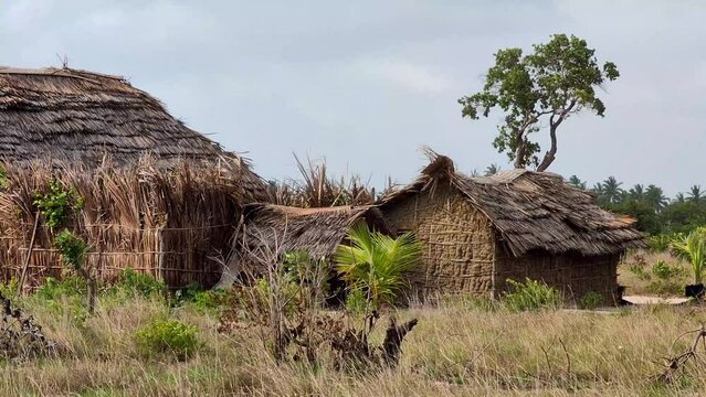 Traditional wood mud and grass hut in Africa grasslands savanna