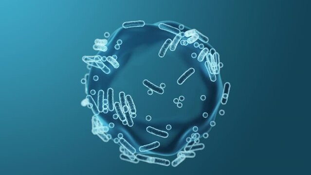 Enterobacteriaceae, gram-negative rod-shaped bacteria, part of intestinal microbiome and causative agents of different infections, 3D rendering. Escherichia coli, Klebsiella, Enterobacter and other