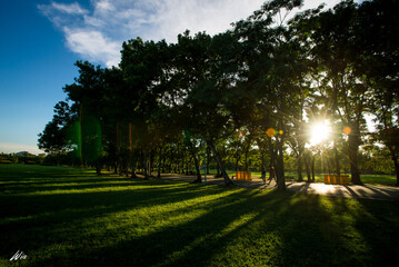The view of a public park in Bangkok during the evening as the sun is about to set behind the horizon