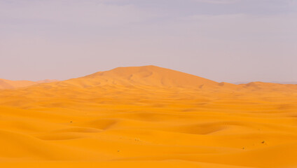 dunas de un desierto