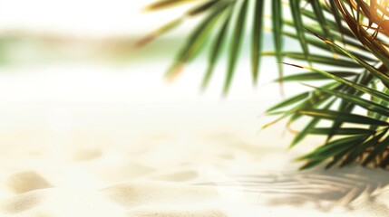 Beautiful summer background with palm leaves against the backdrop of a sandy sea beach under a blue sky. The background is blurred. Copy space.