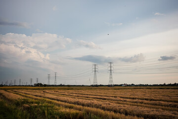 A field with power lines and a sky with clouds in the background.
