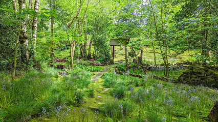 A tranquil garden with stepping-stone paths, high trees and mossy ground.