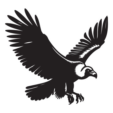 Condor bird, black silhouette on a transparent background, vector drawing for stencil, print..