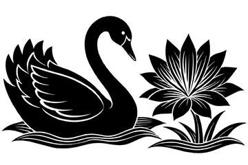 Black and white beautiful view of swan playing water in pond, lotus, sunrise, rim lighting  vector silhouette on white background