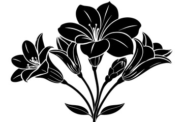 Freesia vector silhouette 