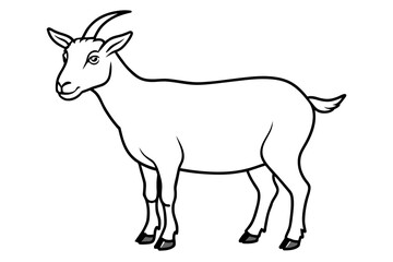 goat line art vector illustration 