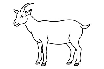 goat line art vector illustration 
