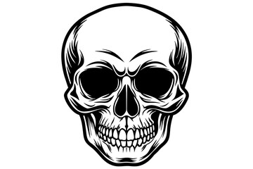 skull vector silhouette 