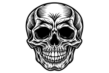 skull vector silhouette 