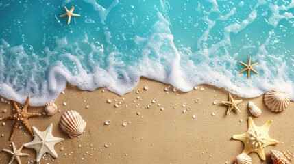 Fototapeta na wymiar sea ​​background shell on the sand