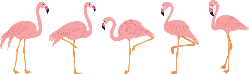pink flamingos set on white background vector