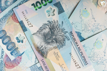 the new one thousand polymer bill of the Philippines
