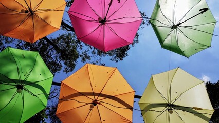 Colorful umbrellas 