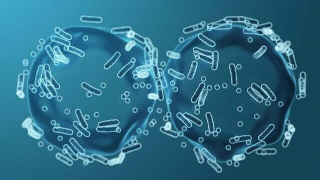 Enterobacteriaceae, gram-negative rod-shaped bacteria, part of intestinal microbiome and causative agents of different infections, 3D rendering. Escherichia coli, Klebsiella, Enterobacter and other