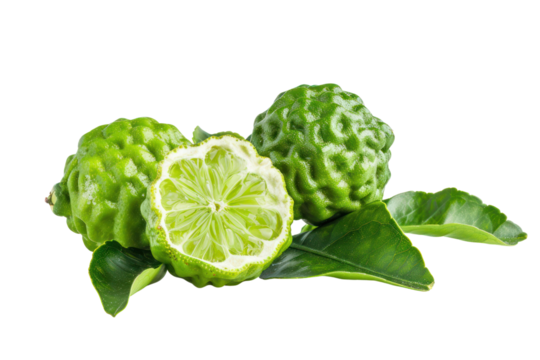 bergamot fresh green leaves
.isolated on white background