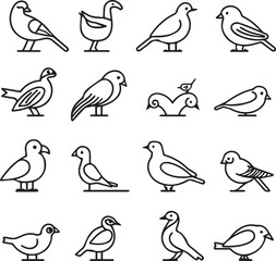 pattern with birds