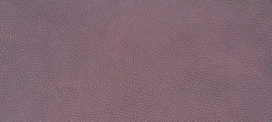 Fototapeta na wymiar Leather Brown Texture_2