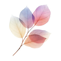 Branch with pastel-colored leaf or petal isolated on white background