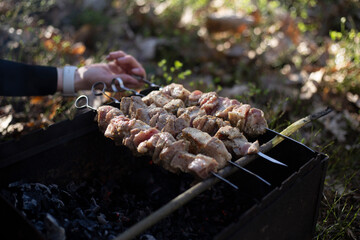 Shish Kebab on skewers on the grill