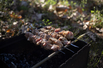 Shish Kebab on skewers on the grill