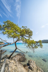 Beautiful Notre Dame beach (Plage Notre-Dame) on Porquerolles island (l'île de Porquerolles),...