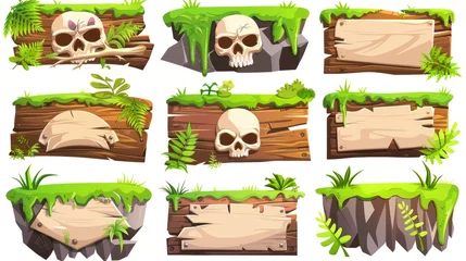 Foto op Canvas A wooden sign board with lion vines, lion bones, skulls, and liana vines on moss or grass islands. A cartoon set of jungle liana wood frames and banners. © Mark