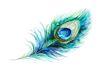 Watercolor Peacock Feather on Transparent Background. PNG