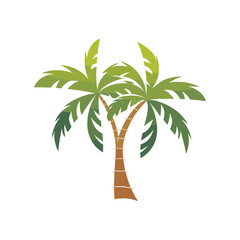 palm tree illustration