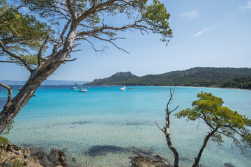 Beautiful Notre Dame beach (Plage Notre-Dame) on Porquerolles island (l'île de Porquerolles), France