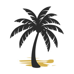 palm tree illustration