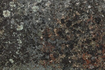 Closeup of lichen covered rock surface.