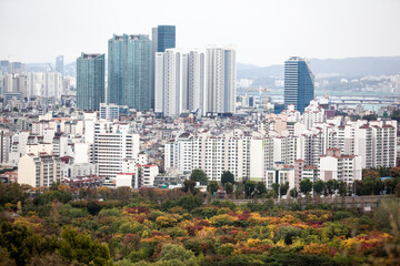 Fototapeta premium View of the skyscrapers in the city