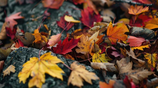 Autumn remnants
