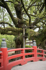 福岡県 / 太宰府天満宮