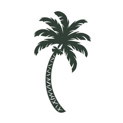 Obraz premium palm tree silhouette